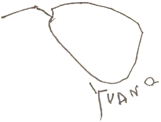 Joli dessin de pomme par Yvan